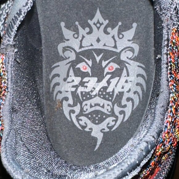 Nike LeBron XVI 16 aka Fruity Pebbles - Picture 11 of 16